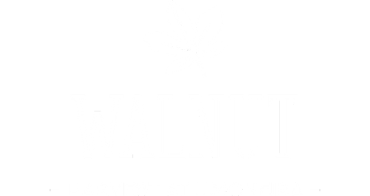 Walnut - Harvest at Limoneira