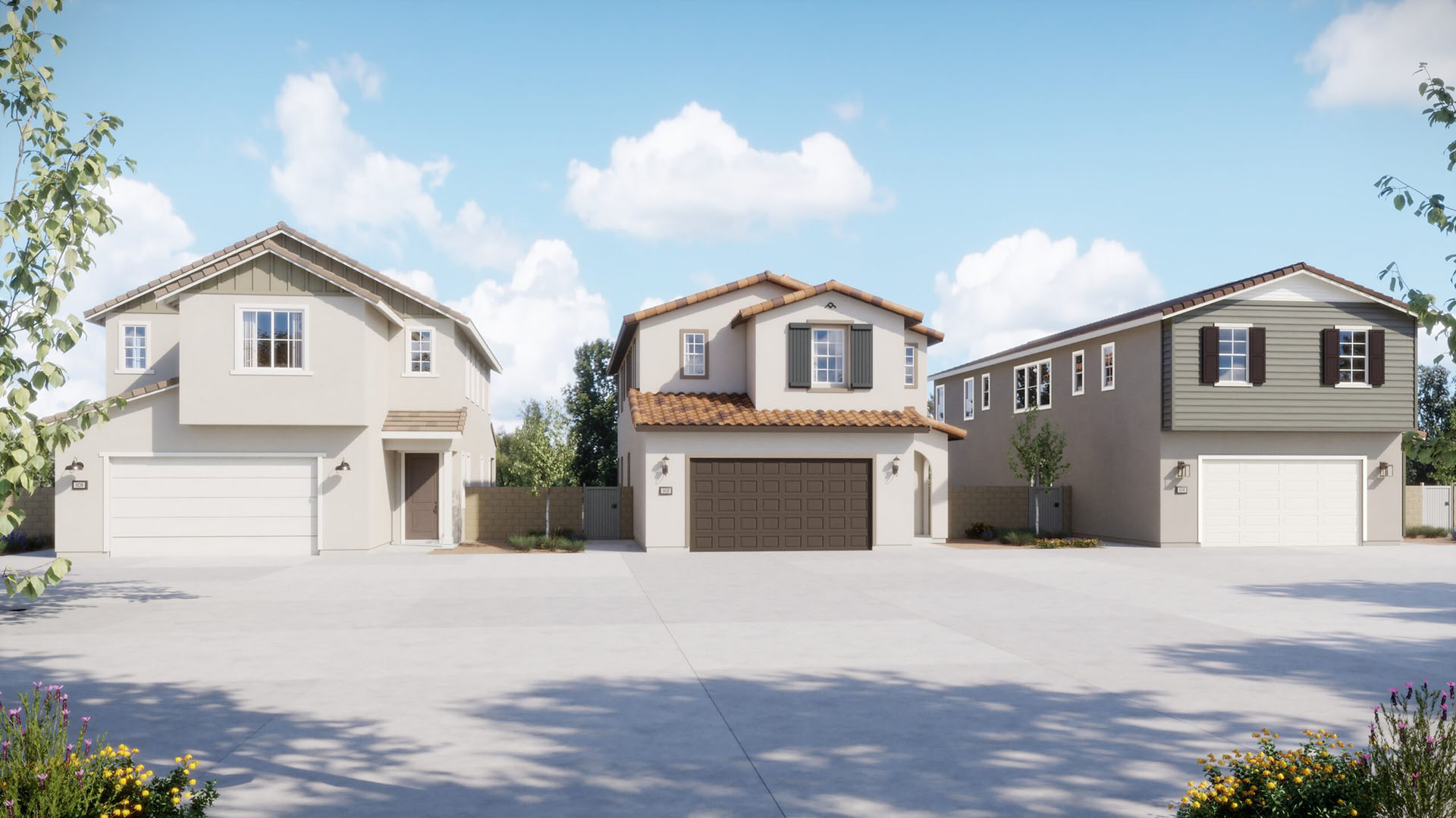 Street View - Oak - Harvest at Limoneira