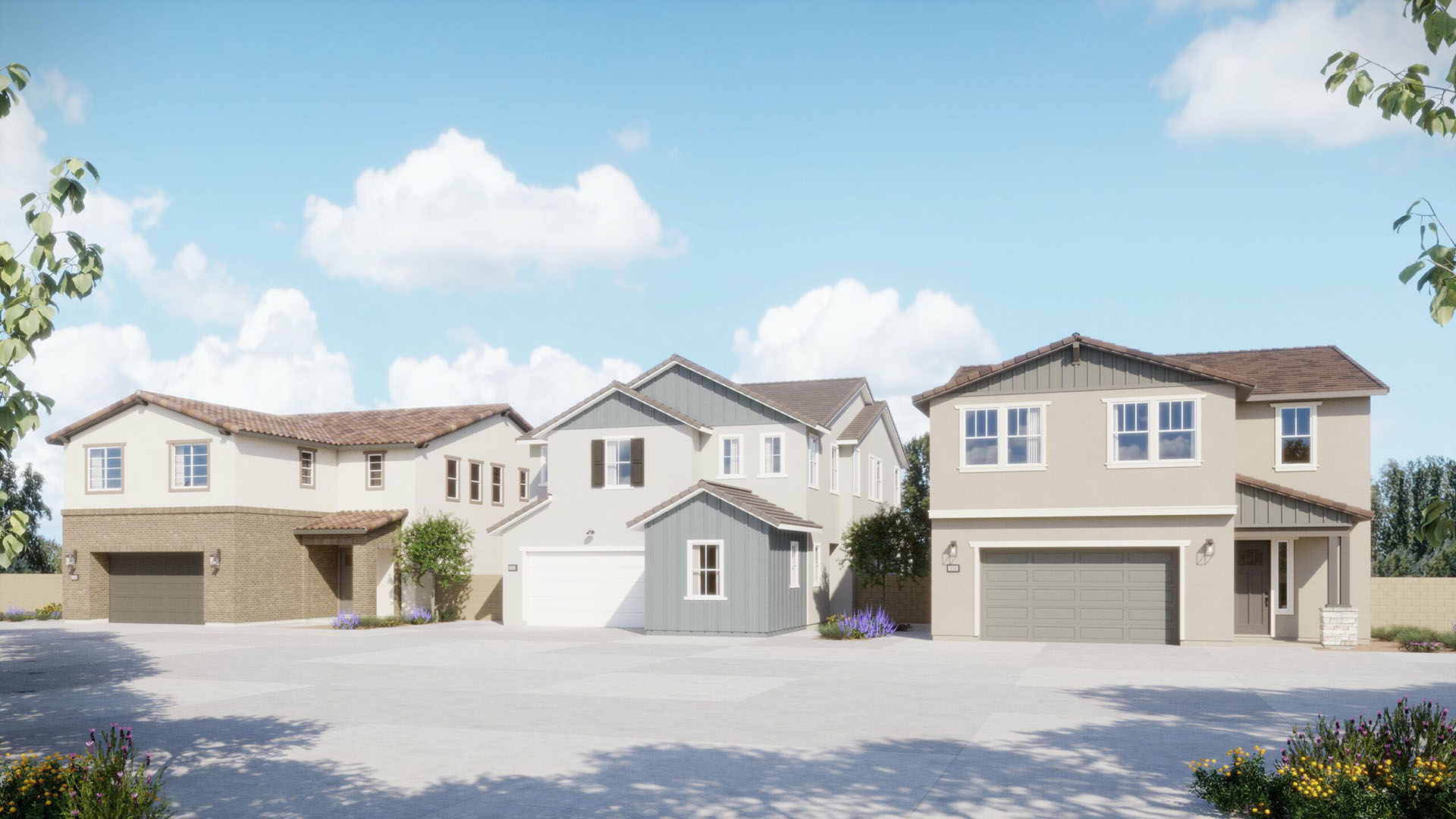 Street View - Juniper - Harvest at Limoneira