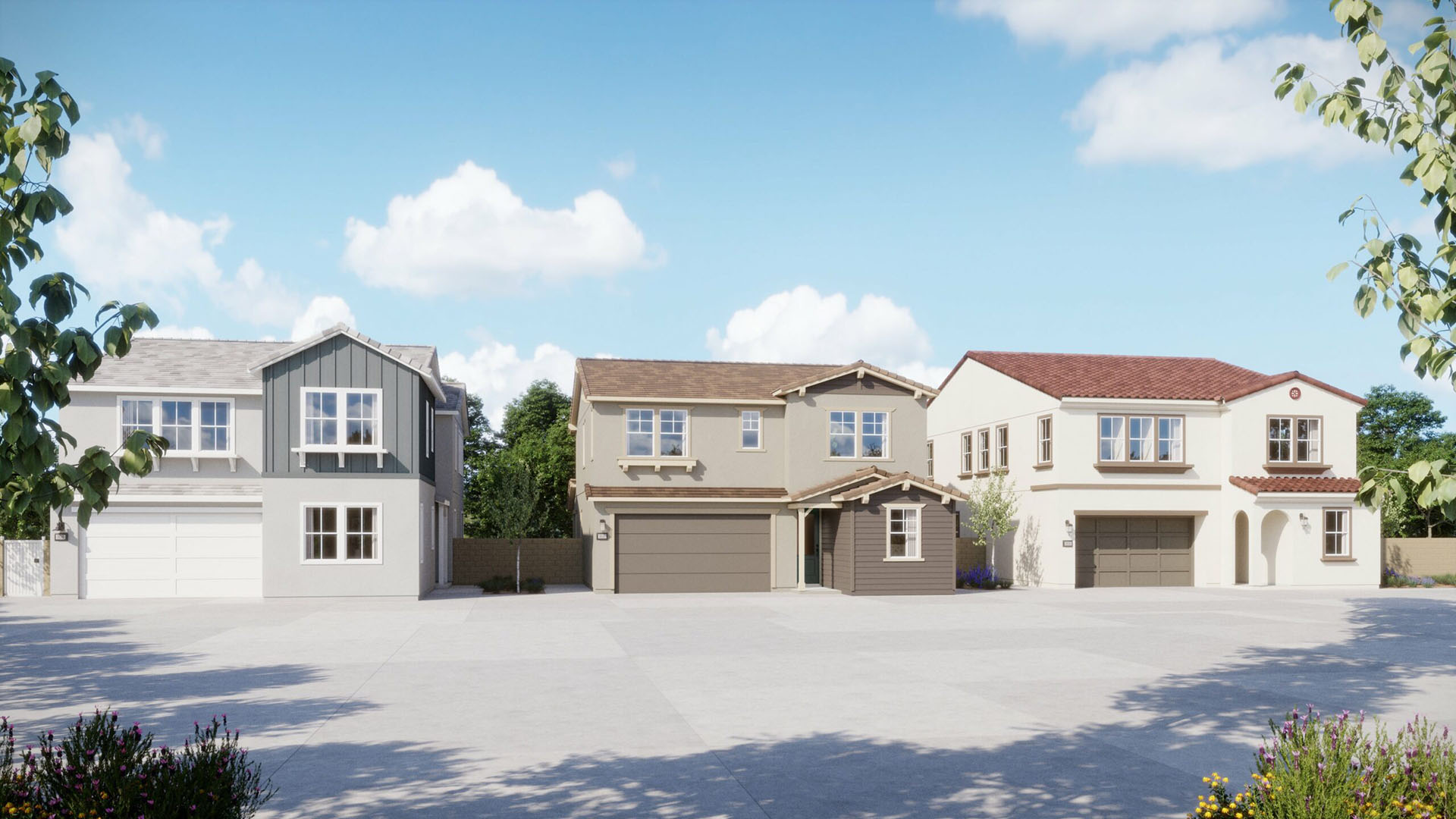 Street View - Sycamore - Harvest at Limoneira