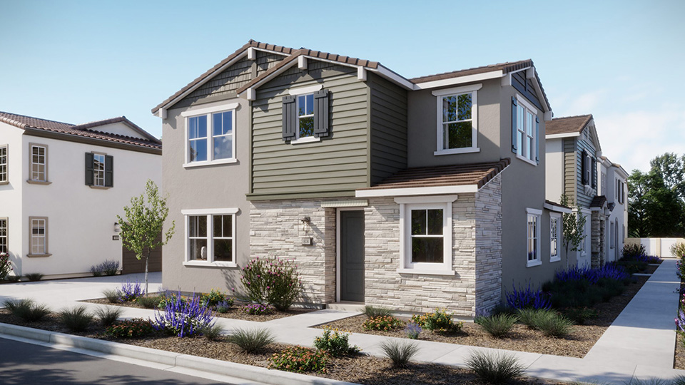 Exterior - Grove - Harvest at Limoneira