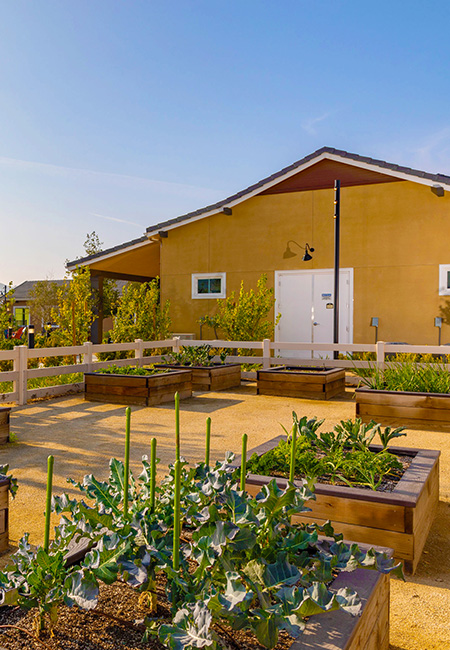 Community Garden