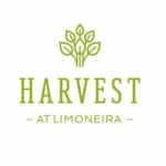 Harvest at Limoneira